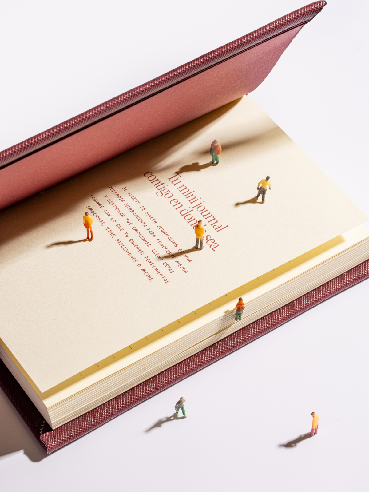 Mini Pocket Journal